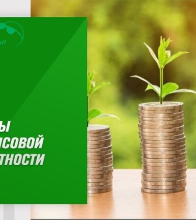 Конкурс «Основы финансовой грамотности»