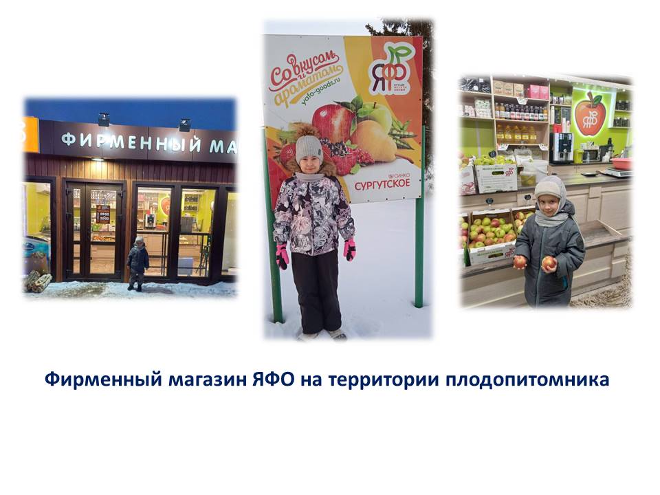 Реализация программы «Наставничество» ГБОУ СОШ №1 п.г.т. Суходол СП-д/с «Теремок»
