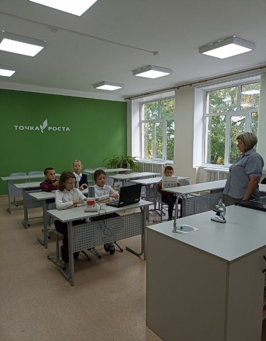 Разнообразие природы