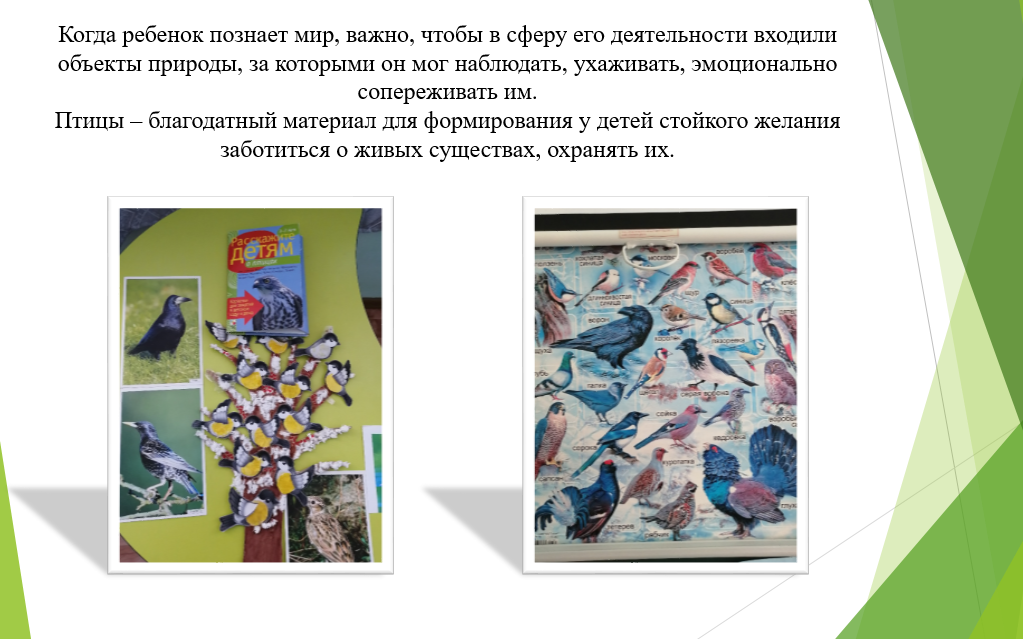 «Реализация программ воспитания в системе дошкольного образования».
