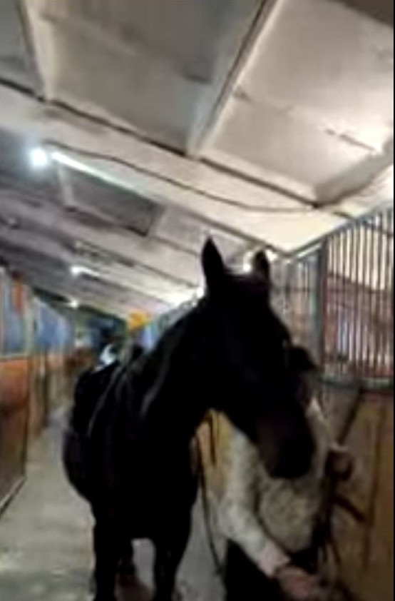 Марафон открытых уроков урочной и внеурочной деятельности «Педагог – педагогу»